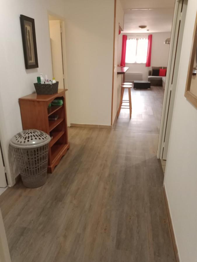 Superbe T3 De 85 Metres Carres Daire Toulouse Dış mekan fotoğraf